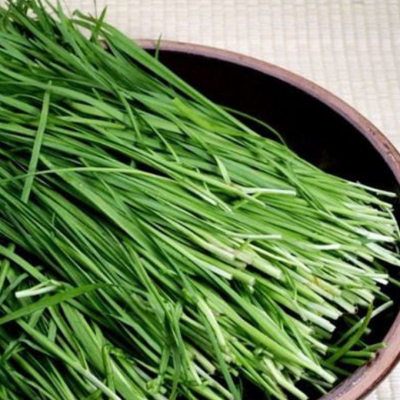 新鲜富硒韭菜 定制塞勒涅无公害耐寒自种自采蔬菜