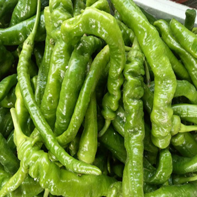 餐馆蔬菜配送_蔬菜配送_绿色新鲜蔬菜配送服务