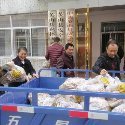 英山县应急局干部积极帮销爱心生姜