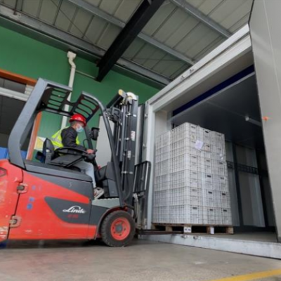 农业技术新突破，自研国产即食猕猴桃成功上市