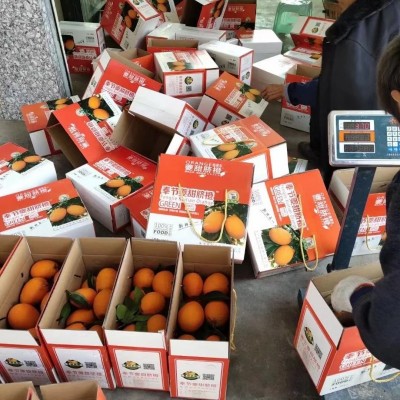 正宗福本上市，你买对了嘛？